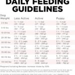Go! Solutions Sensitivities Limited Ingredient Grain-Free Salmon Recipe Small Bites Dry Dog Food, photo 12