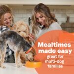 Canidae All Life Stages Multi-Protein Formula Chicken, Turkey, Lamb, and Fish Meals Dry Dog Food, photo 13