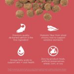 Go! Solutions Sensitivities Limited Ingredient Grain-Free Salmon Recipe Dry Dog Food, photo 11