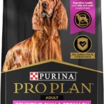 Purina Pro Plan Adult Sensitive Skin & Stomach Salmon & Rice Formula Dry Dog Food