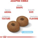 Royal Canin Large Aging 8+ Dry Dog Food, photo 3