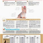 Royal Canin Yorkshire Terrier Adult 8+ Adult Dry Dog Food, photo 3