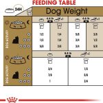 Royal Canin Yorkshire Terrier Adult Dry Dog Food, photo 4