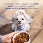 Natural Balance L.I.D. Limited Ingredient Diets Grain-Free Chicken & Sweet Potato Small Breed Bites Dry Dog Food, photo 8