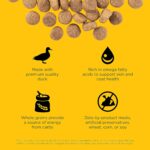 Go! Solutions Skin + Coat Care Duck Recipe with Grains Dry Dog Food, photo 13
