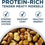 Purina One SmartBlend Large Breed Adult Formula Premium Dry Dog Food, photo 6