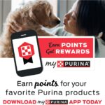 Purina Beneful IncrediBites Small Farm-Raised Beef Dog Dry Food, photo 4