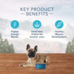 Blue Wilderness Small Breed Adult Chicken plus Wholesome Grains Recipe Dry Dog Food, photo 4
