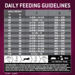 Eukanuba Premium Performance 26/16 Exercise Dry Dog Food, photo 4