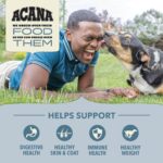 Acana Wholesome Grains Sea to Stream Fish & Grains Recipe Dry Dog Food, photo 5