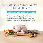 Blue Basics Limited Ingredient Diet Small Breed Adult Turkey and Potato Recipe Dry Dog Food, photo 5