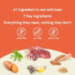 Canidae Pure Grain-Free Real Wild Boar & Garbanzo Bean Recipe Dry Dog Food, photo 7