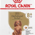 Royal Canin Dachshund 8+ Adult Dry Dog Food, photo 2