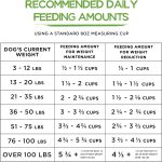 Purina Beneful Healthy Weight Farm-Raised Chicken Dry Dog Food, photo 15