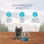 Blue Wilderness Adult Small Breed Healthy Weight Chicken Recipe Grain-Free Dry Dog Food, photo 6