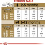 Royal Canin Golden Retriever Puppy Dry Dog Food, photo 6