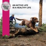 Eukanuba Senior Large Breed Dry Dog Food, photo 12
