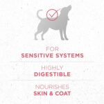 Purina One SmartBlend Sensitive Systems Formula Adult Premium Dry Dog Food, photo 4