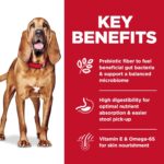 Hill’s Science Diet Adult Sensitive Stomach & Skin Large Breed Chicken Recipe Dry Dog Food, photo 4