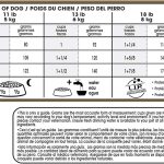 Royal Canin Jack Russell Terrier Adult Dry Dog Food, photo 5