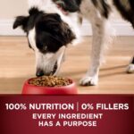 Purina One True Instinct with a Blend of Real Turkey & Venison Dry Dog Food, photo 13