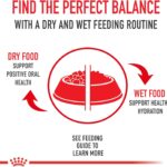 Royal Canin Giant Junior Dry Dog Food, photo 8