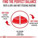 Royal Canin Golden Retriever Puppy Dry Dog Food, photo 7