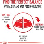 Royal Canin Small Indoor Puppy Dry Dog Food, photo 9