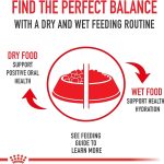 Royal Canin Medium Weight Care Dry Dog Food, photo 5