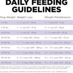 Go! Solutions Carnivore Grain-Free Chicken, Turkey + Duck Senior Recipe Dry Dog Food, photo 15