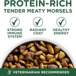Purina One SmartBlend Small Breed Lamb & Rice Formula Adult Dry Dog Food, photo 11