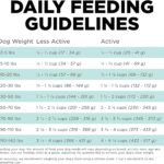 Go! Solutions Carnivore Grain-Free Chicken, Turkey + Duck Adult Recipe Dry Dog Food, photo 15