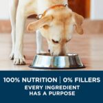 Purina One SmartBlend Large Breed Adult Formula Premium Dry Dog Food, photo 9