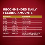 Purina One True Instinct with a Blend of Real Turkey & Venison Dry Dog Food, photo 16