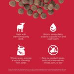 Go! Solutions Skin + Coat Care Lamb Recipe Dry Dog Food, photo 13