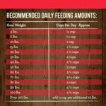 Merrick Grain-Free Real Bison, Beef + Sweet Potato Recipe Dry Dog Food, photo 10