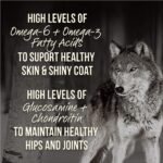 Merrick Backcountry Raw Infused Puppy Recipe + Grains Dry Dog Food, photo 12