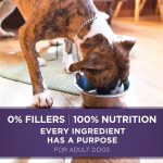 Purina One SmartBlend Vibrant Maturity 7+ Formula Dry Dog Food, photo 6