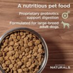 Diamond Naturals Large Breed Adult Dog Lamb Meal & Rice Formula Dry Dog Food, photo 8