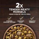 Purina One True Instinct with a Blend of Real Turkey & Venison Dry Dog Food, photo 9