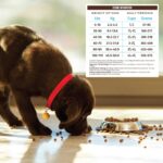 Holistic Select Adult Health Anchovy & Sardine And Salmon Meal Recipe Dry Dog Food, photo 4