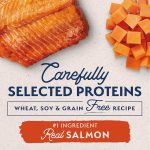 Natural Balance L.I.D. Limited Ingredient Diets Grain-Free Salmon & Sweet Potato Dry Dog Food, photo 9