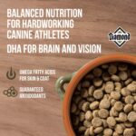Diamond Performance All Life Stages Dry Dog Food, photo 7