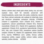 Purina Beneful Superfood Blend Salmon Dry Dog Food, photo 7