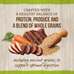 Merrick Lil’ Plates Real Lamb + Brown Rice Recipe with Ancient Grains Dry Dog Food, photo 6