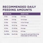 Purina One SmartBlend Vibrant Maturity 7+ Formula Dry Dog Food, photo 10