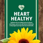 Earthborn Holistic Venture Limited Ingredient Grain-Free Roasted Lamb & Butternut Squash Dry Dog Food, photo 8