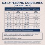 Natural Balance Fat Dogs Low Calorie Dry Dog Food, photo 4