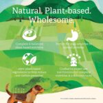 Gather Endless Valley Vegan Recipe for Adult Dogs Dry Dog Food, photo 12