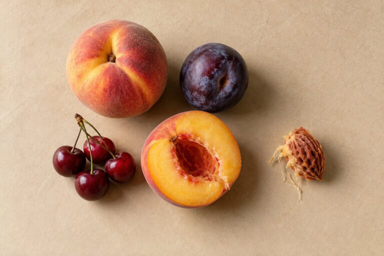 A peach, plum and cherries sit on oat paper beside a halved peach with its pit removed and set aside.